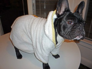 bathrobe modeled by Beetle